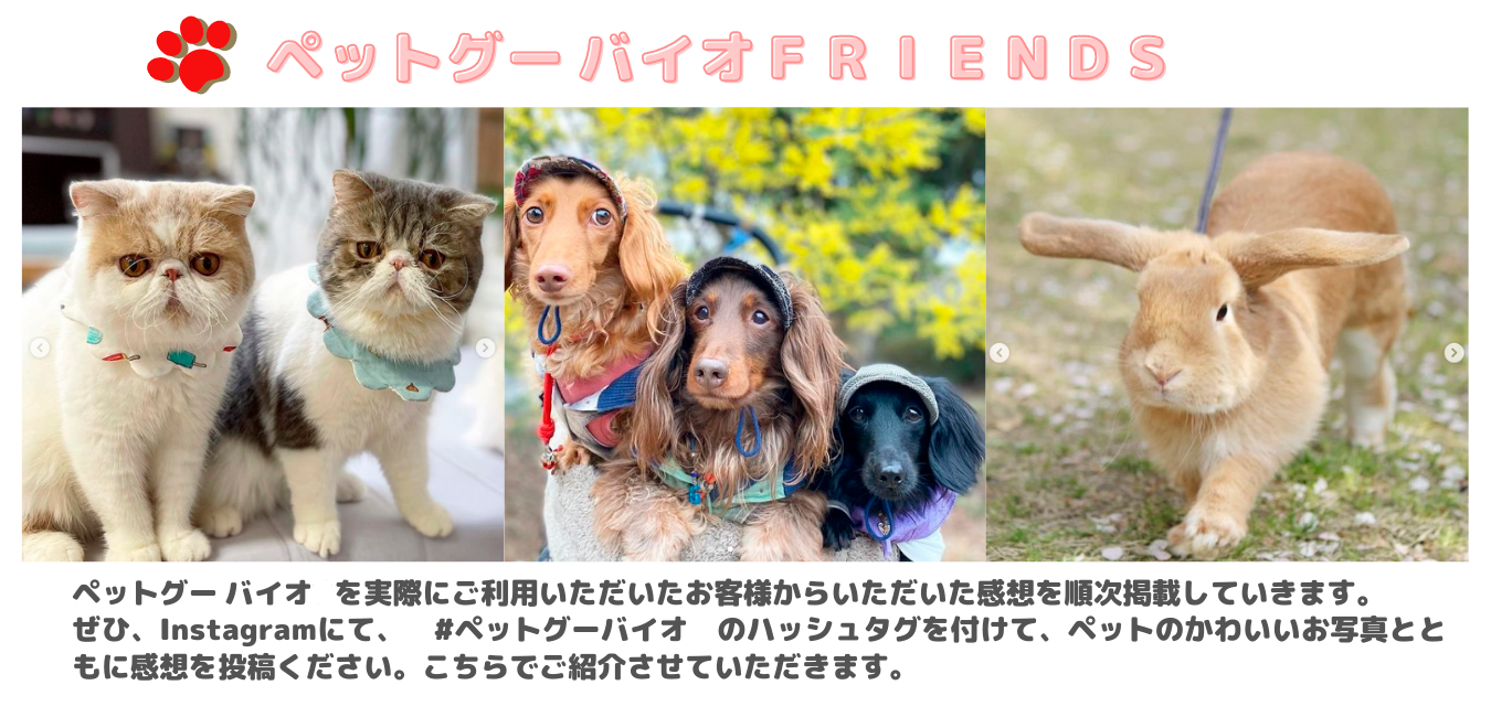 ペットグーバイオフレンズ